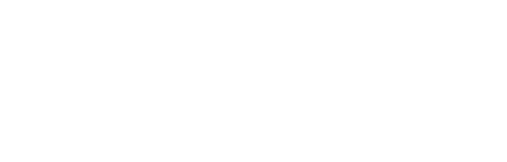 Pinion Technology Core Logo